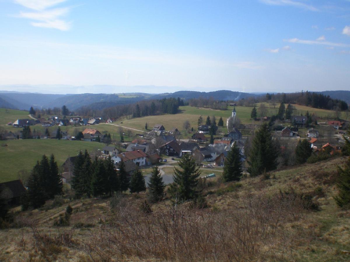 Апартаменты Haus Ingeborg Dachsberg im Schwarzwald Экстерьер фото