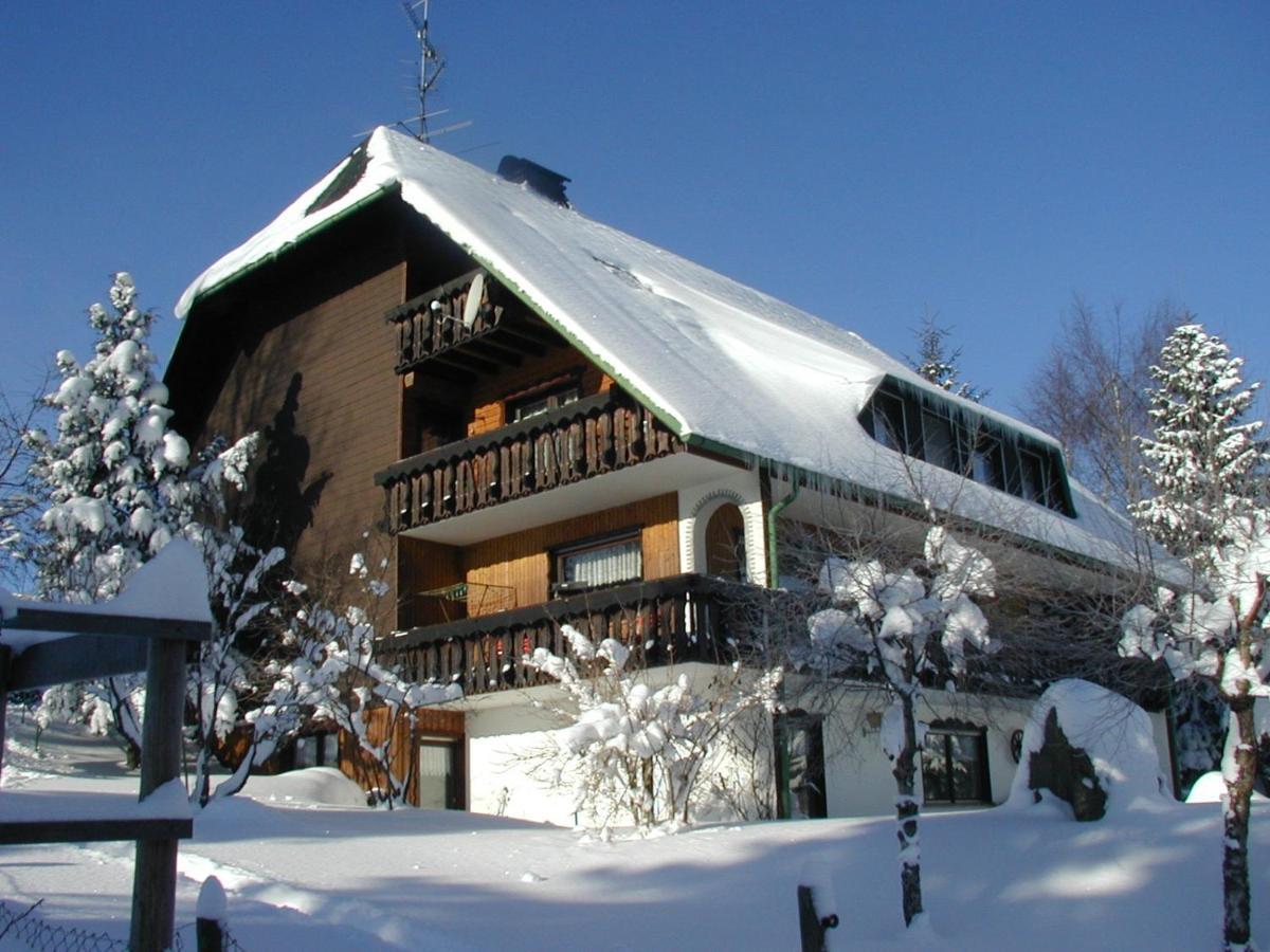 Апартаменты Haus Ingeborg Dachsberg im Schwarzwald Экстерьер фото