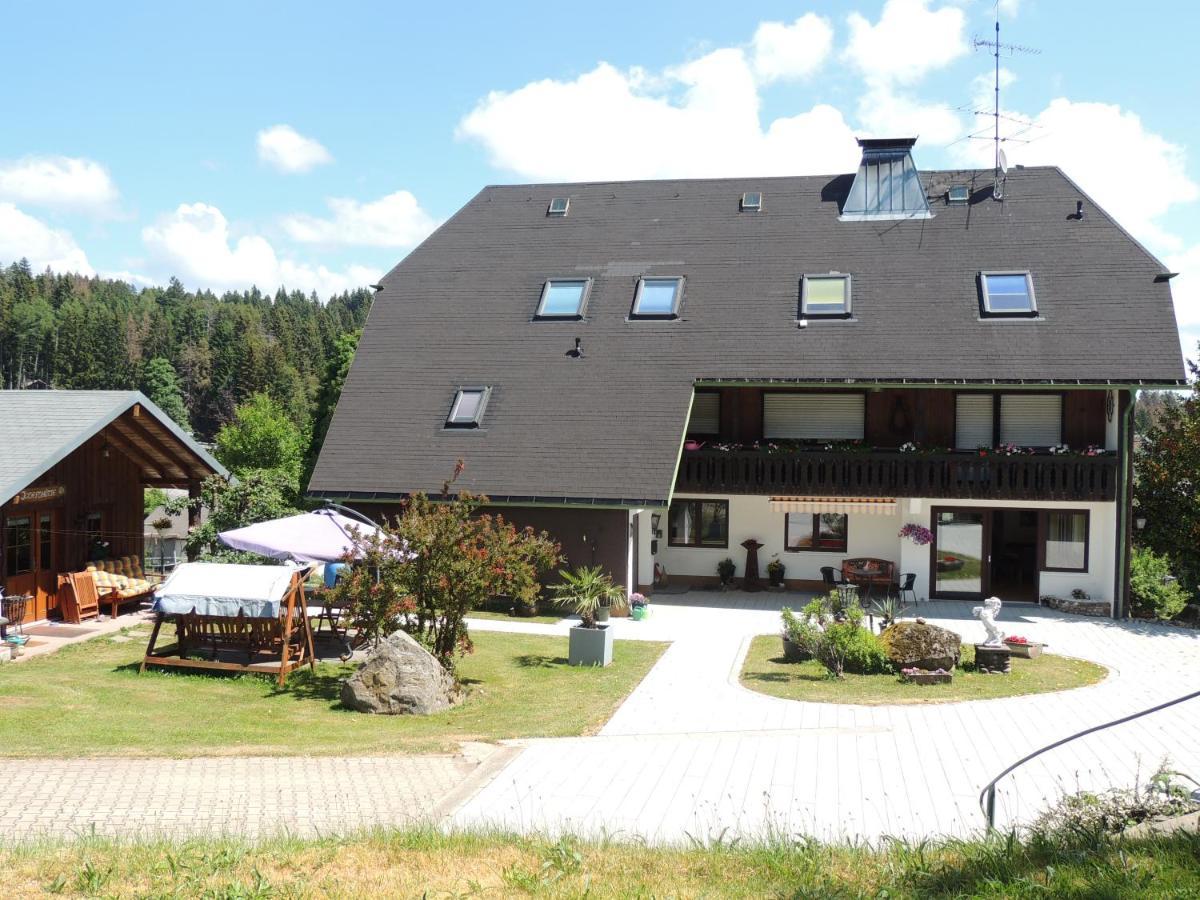 Апартаменты Haus Ingeborg Dachsberg im Schwarzwald Экстерьер фото