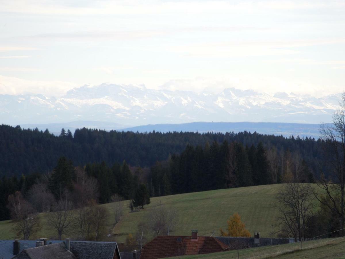 Апартаменты Haus Ingeborg Dachsberg im Schwarzwald Экстерьер фото